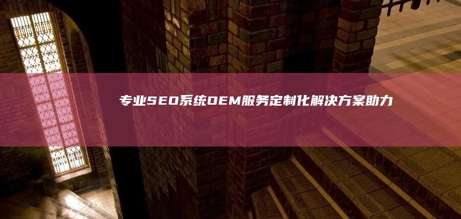 专业SEO系统OEM服务：定制化解决方案助力企业优化在线存在